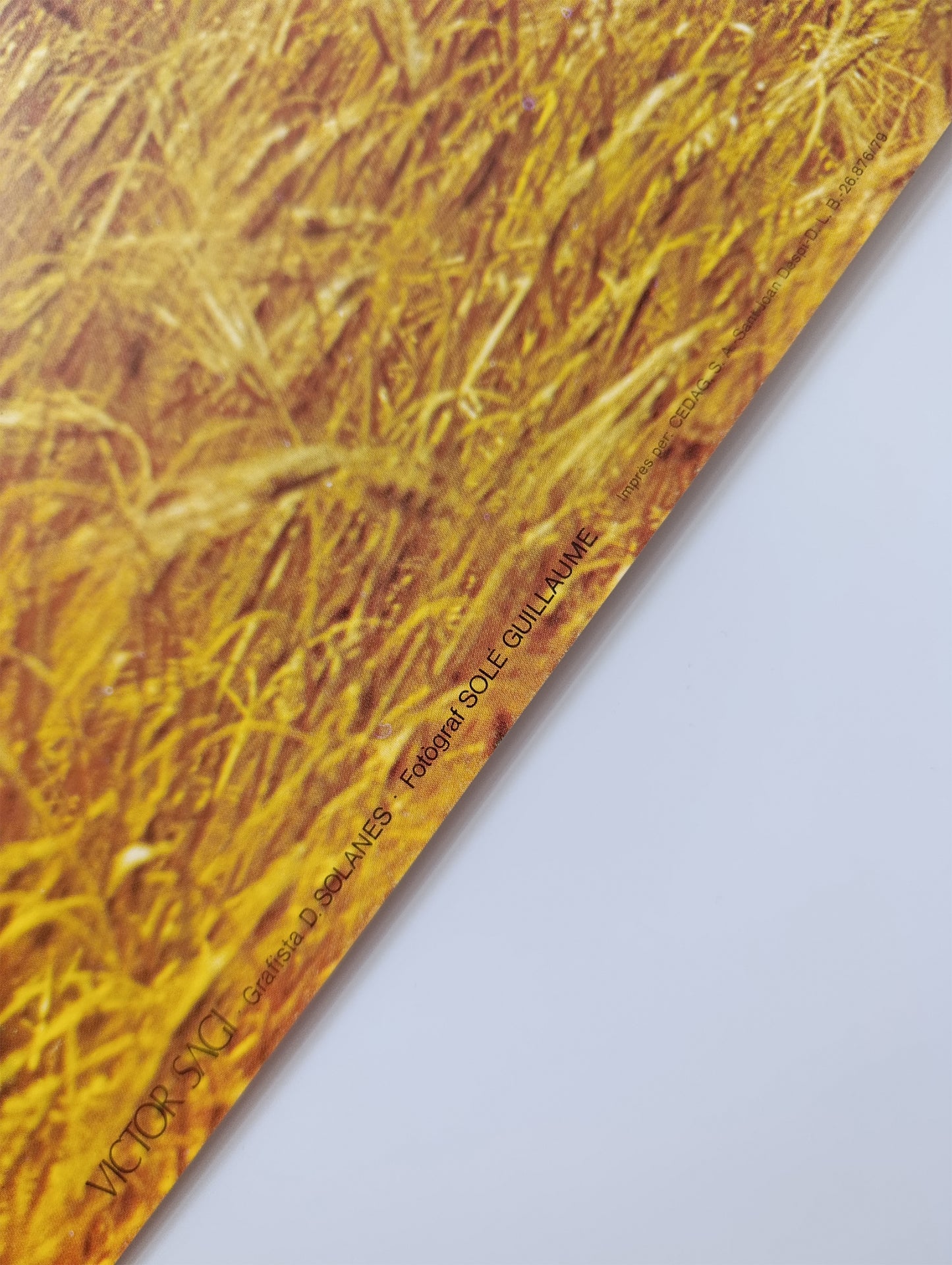 1979 Montserrat Catalonia Travel Poster