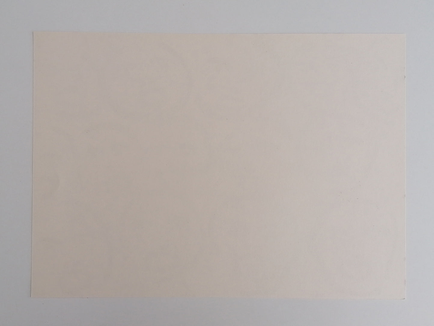 Robert Llimós Art Lithograph