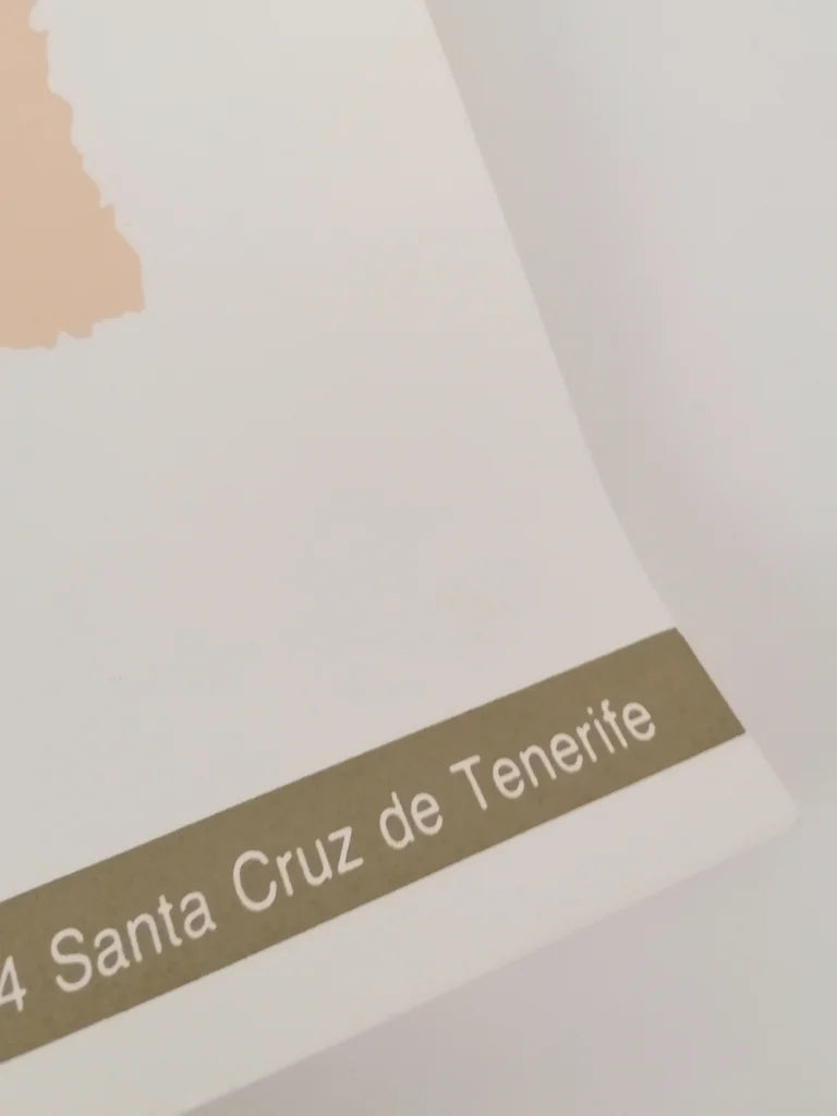 1991 Carmen Clogan Small Poster Santa Cruz Tenerife Exhibition