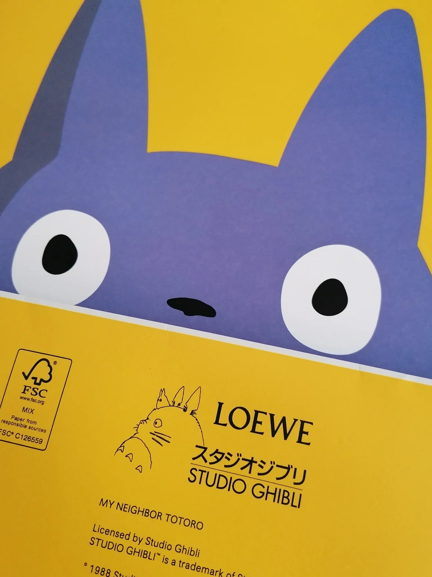 2021 Loewe x My Neighbor Totoro Set