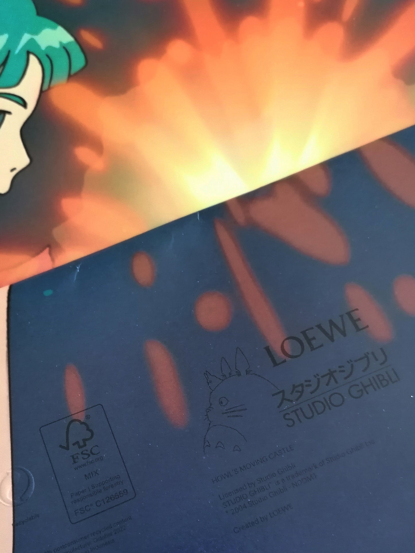 2023 Loewe x Howls Moving Castle by Hayao Miyazaki