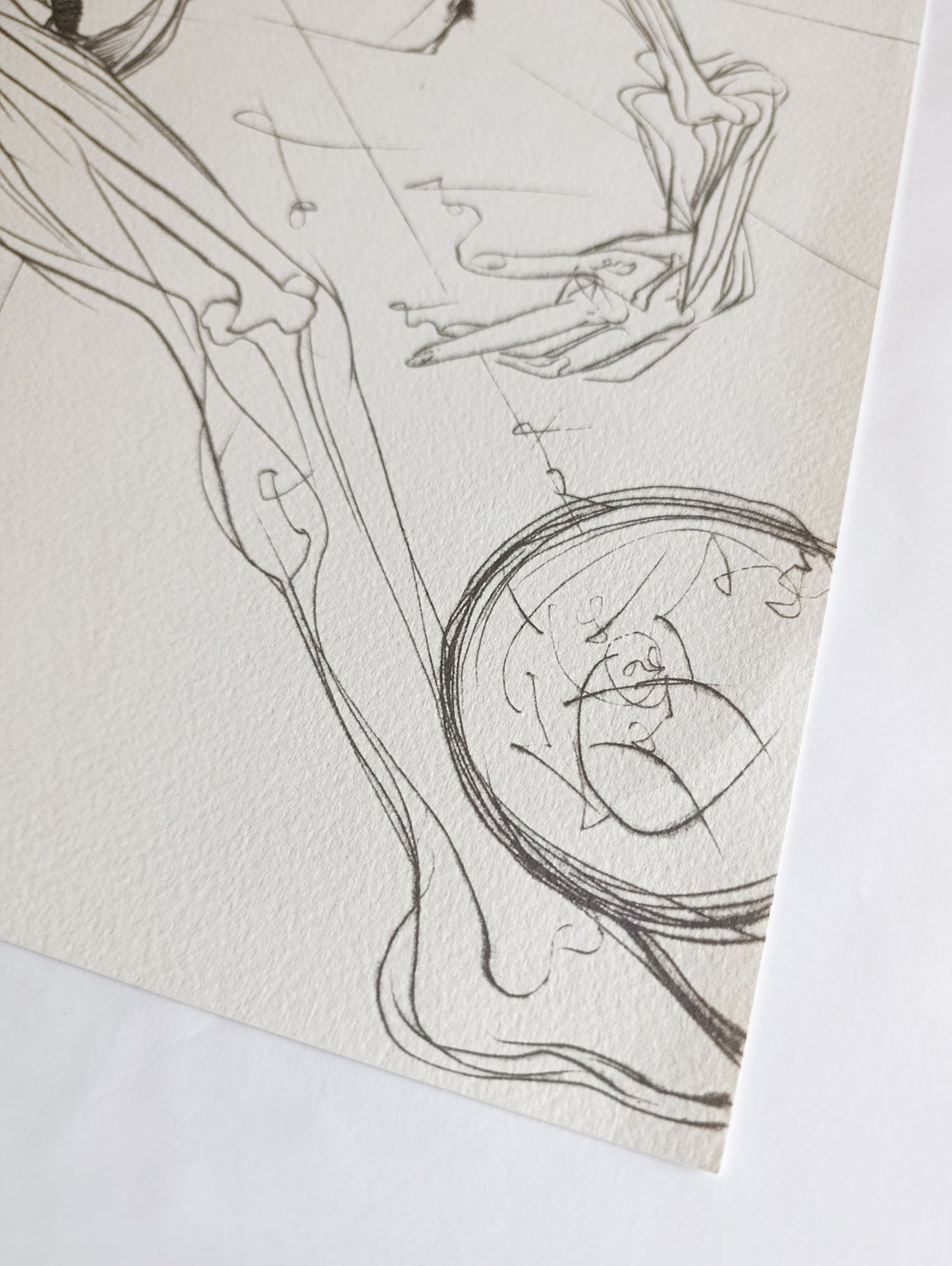 Salvador Dalí Lithography Signed and Numbered