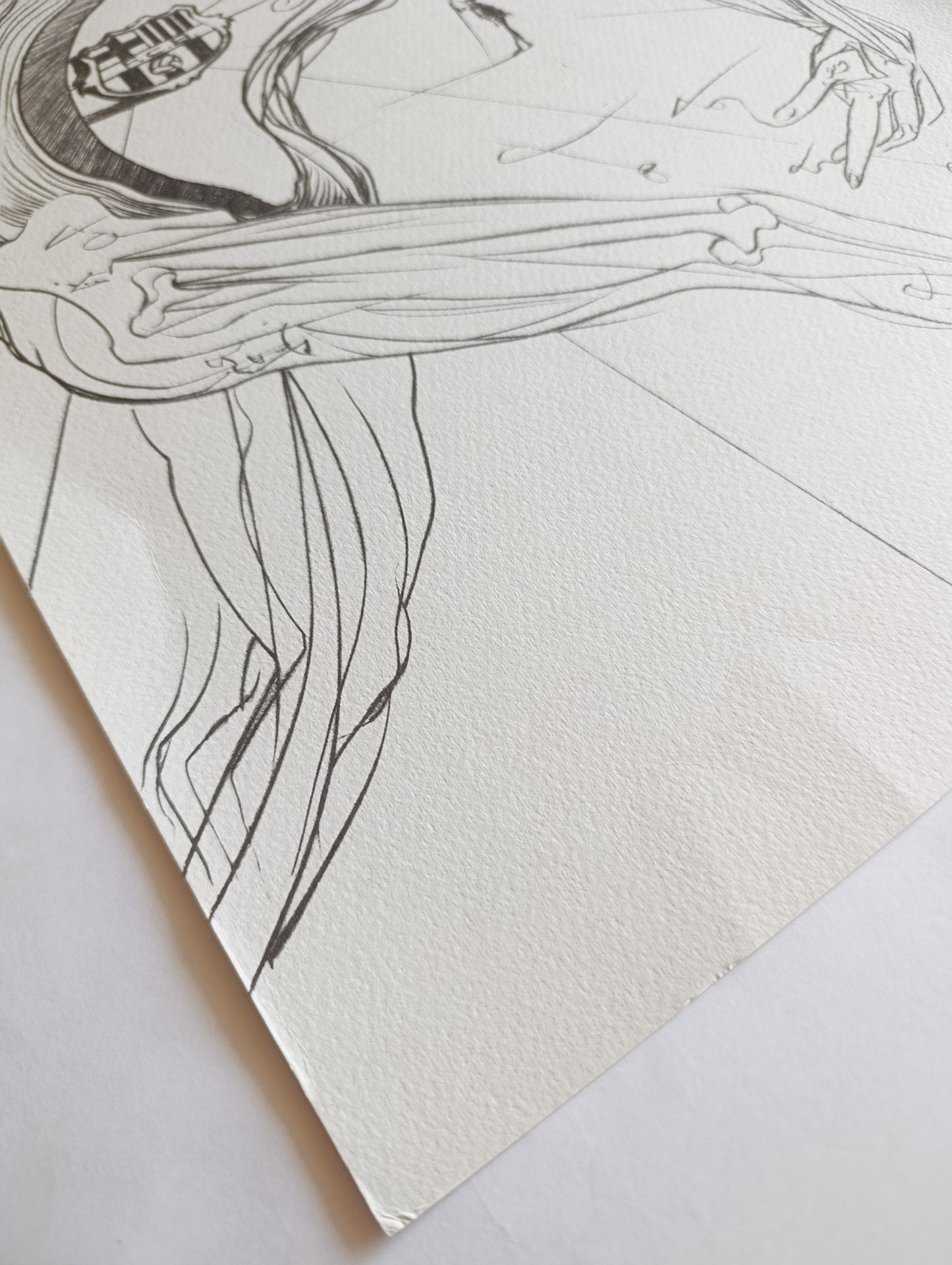 Salvador Dalí Lithography Signed and Numbered