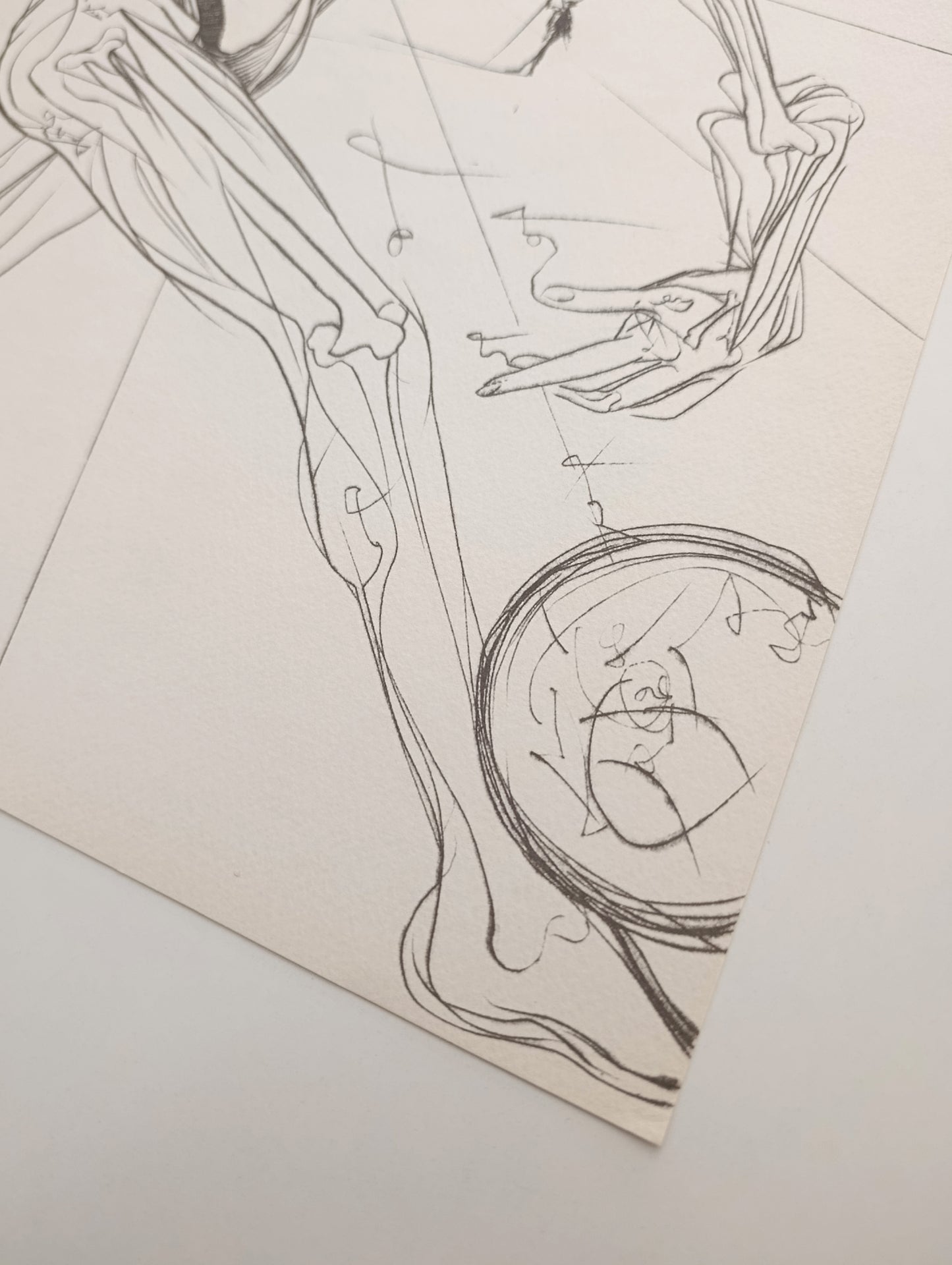 Salvador Dalí Lithography Signed and Numbered