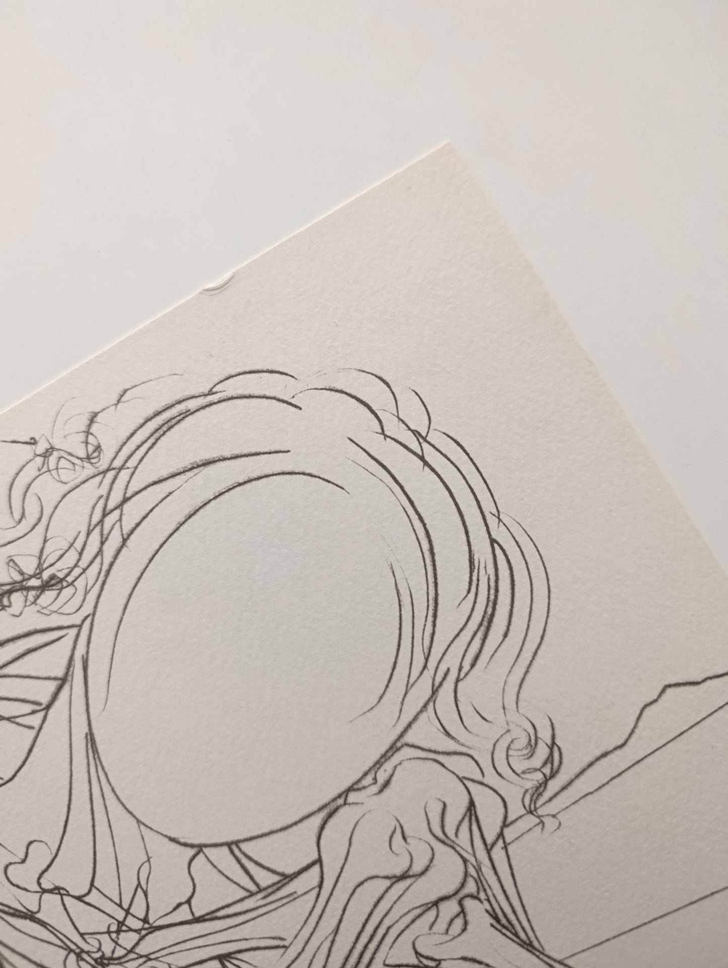 Salvador Dalí Lithography Signed and Numbered