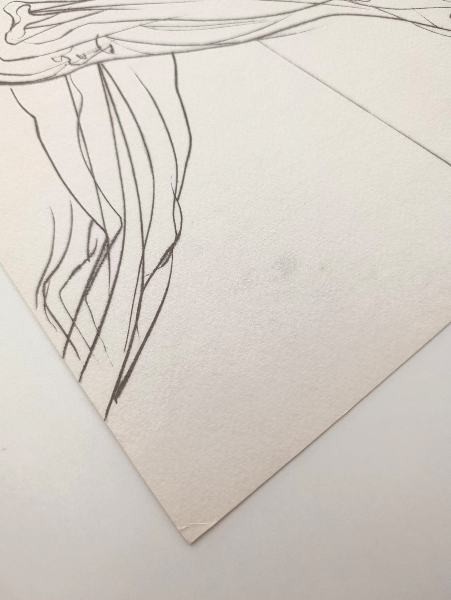 Salvador Dalí Lithography Signed and Numbered
