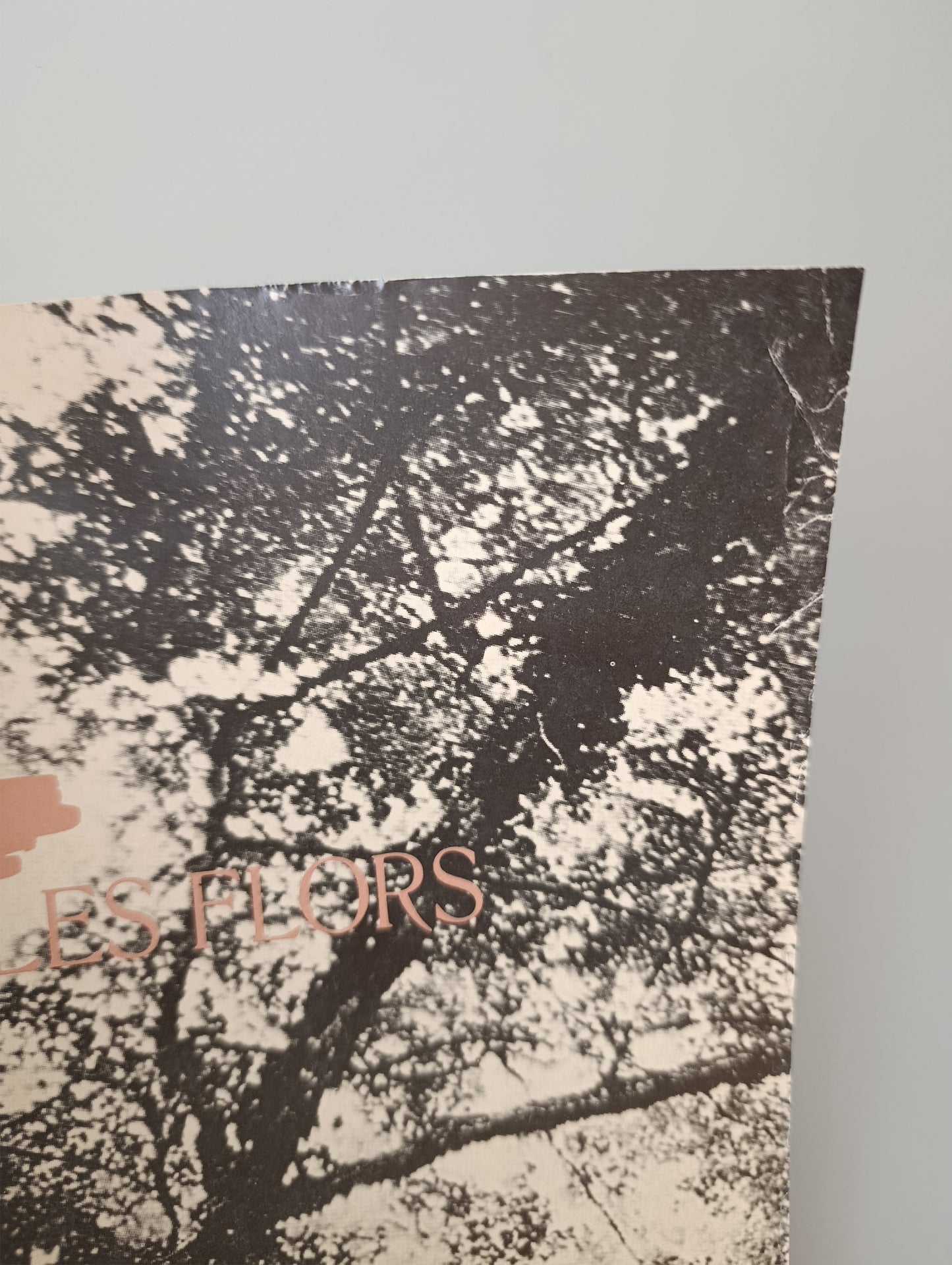 1986 La Fura dels Baus "Suz/O/Suz" disseny Claret Serrahima