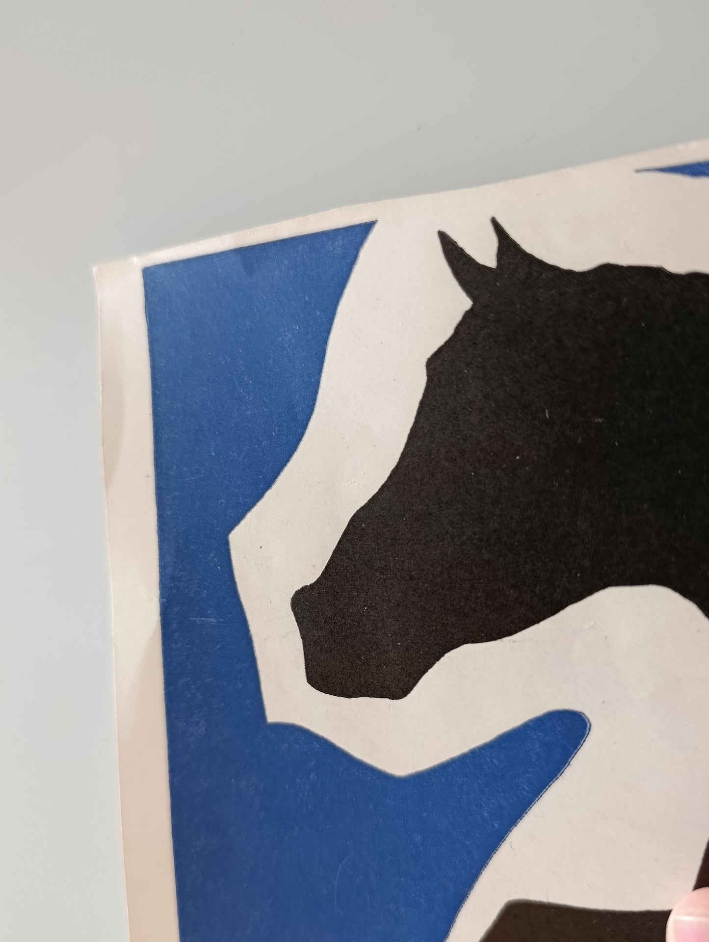 1953 Concurso Hípico Internacional de Barcelona Real Club de Polo