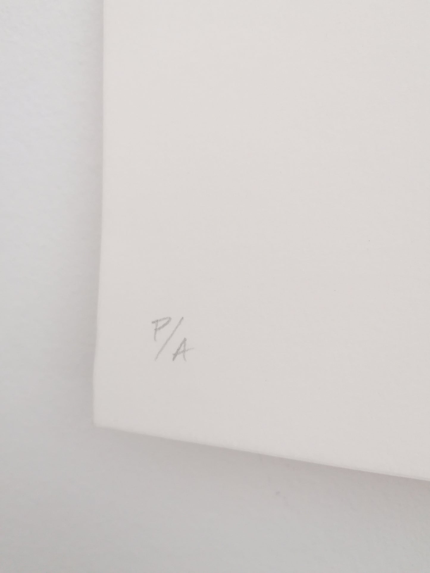 Rubén Sanchez Hand Signed Art Large Print