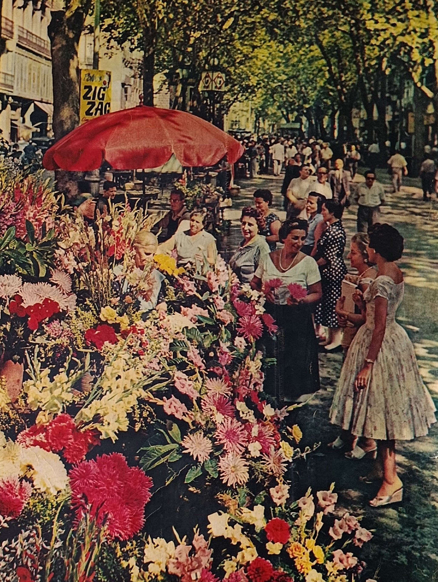 1958 Spain Travel Poster Las Ramblas Mid Century Decor