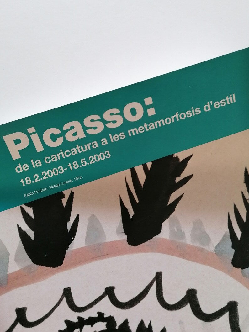 2003 Pablo Picasso Poster from Barcelona Museum